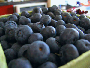 blueberries_superfoods